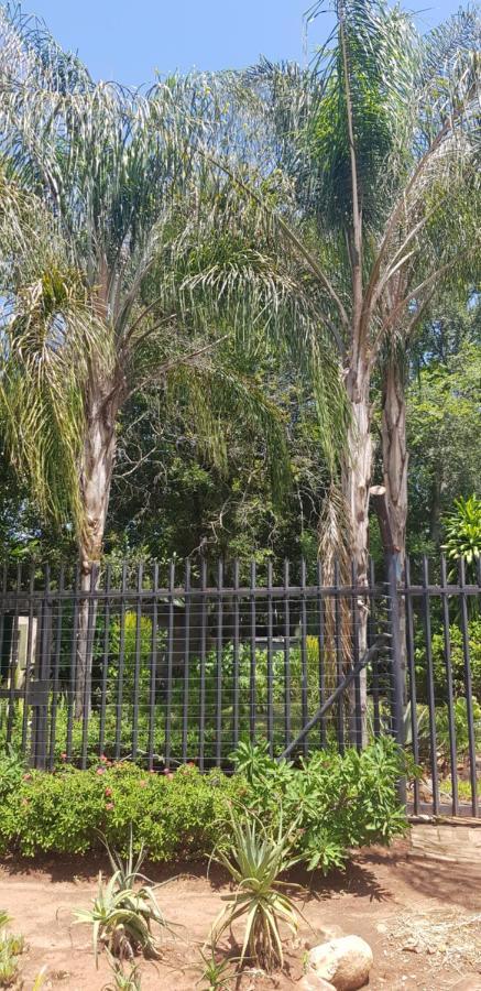 A Farm Stay - Casablanca'S Private Cottage,No Loadshedding! Hazyview Exterior foto